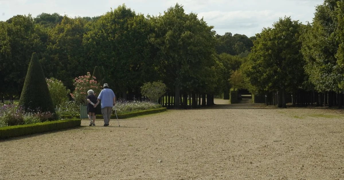 Un couple de personnes âgées se tenant la main descend un paisible chemin de jardin, entouré d'une végétation luxuriante.